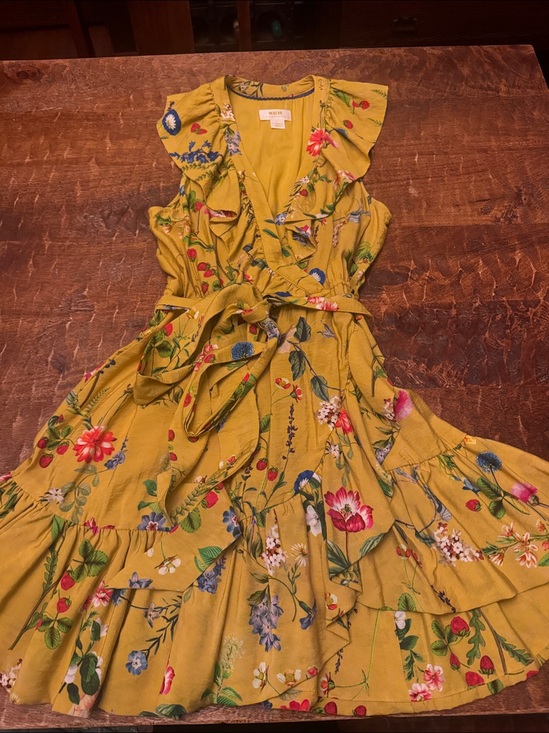 Anthropologie Dresses & Skirts - Maeve Anthropologie Floral Strawberry Print Mini Dress Sleeveless Ruffle Size XS